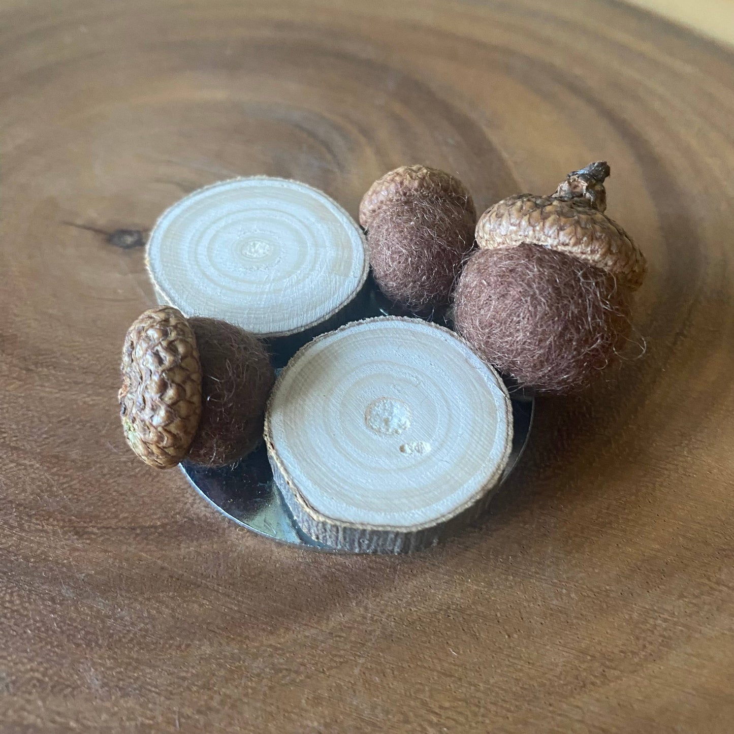Fall Magnets/ Handmade Acorn & Wood Slices