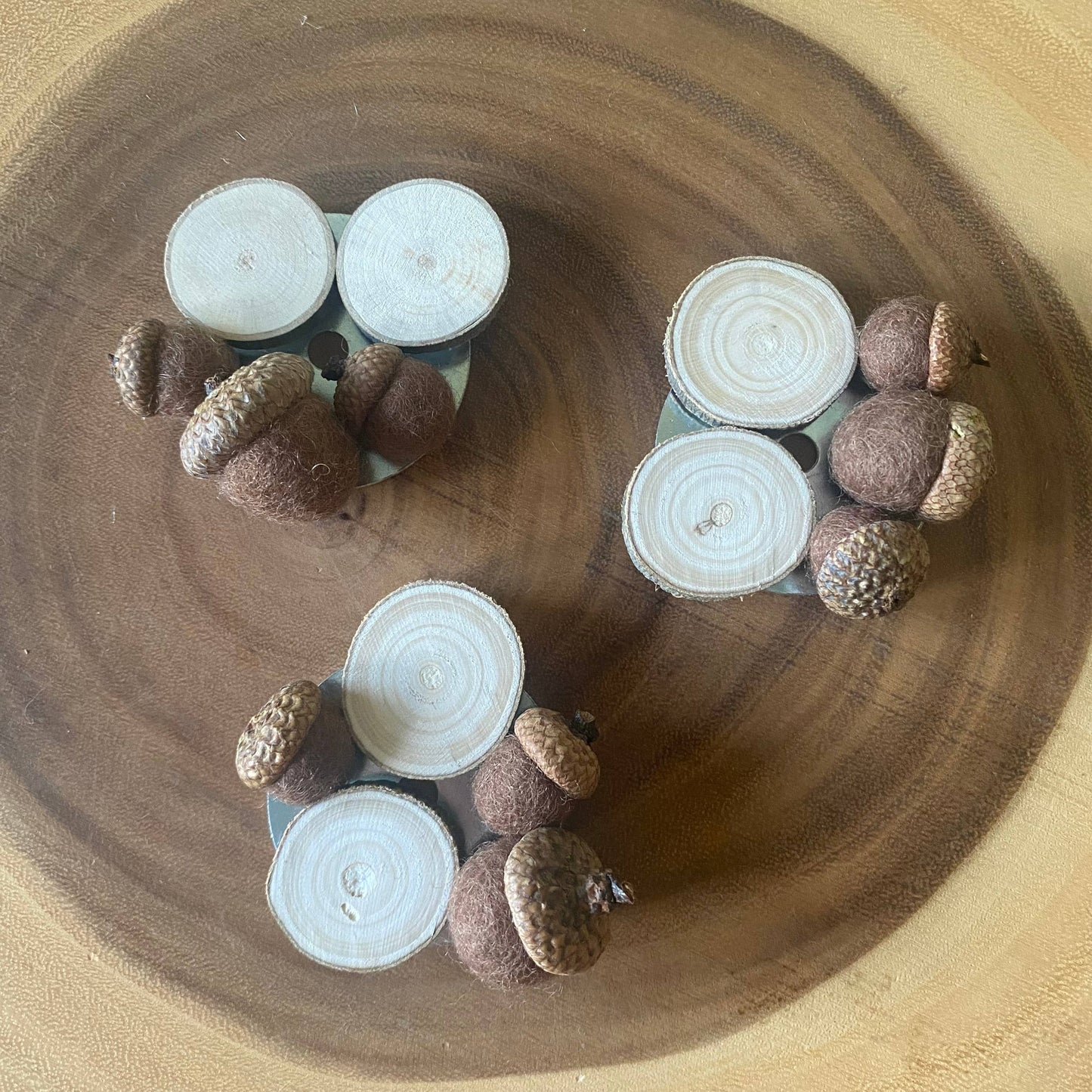 Fall Magnets/ Handmade Acorn & Wood Slices