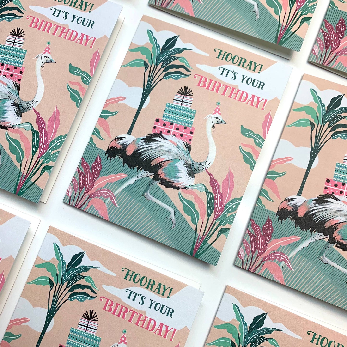 Ostrich Card | Stationery | Birthday Greeting Card