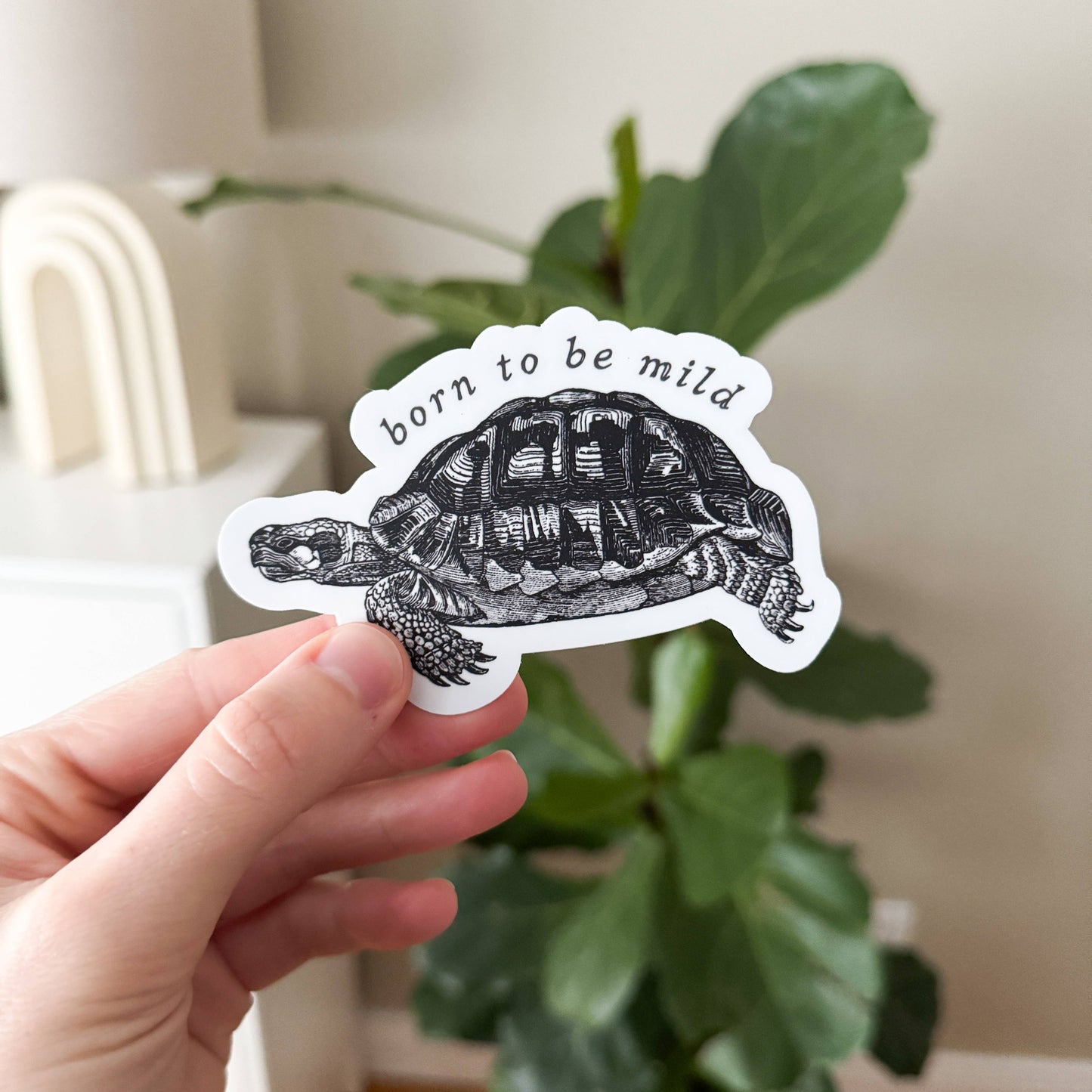 Born to be Mild Tortoise Vinyl Sticker