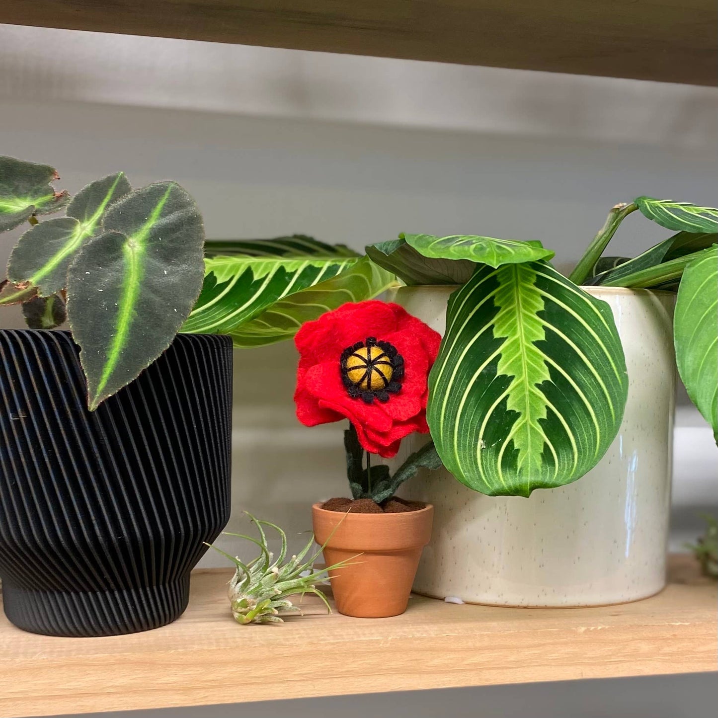 Poppy Felt Forever Flower (August Birth Month Flower): Red