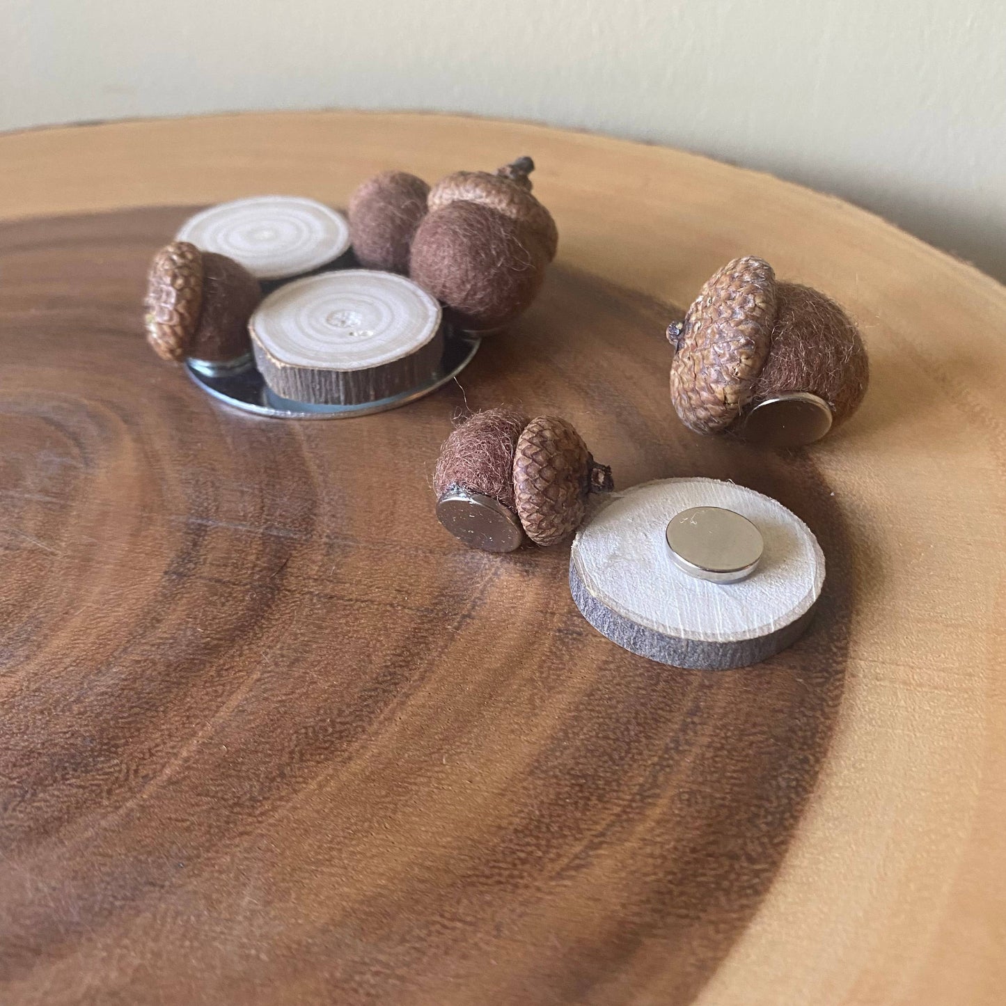 Fall Magnets/ Handmade Acorn & Wood Slices