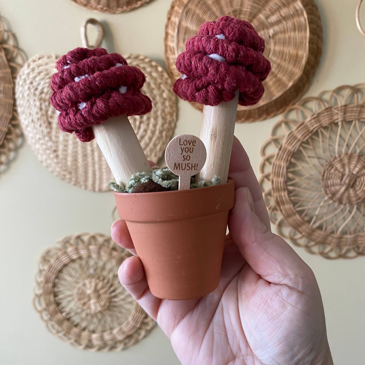 “Love you So Mush” Macrame Mushroom Arrangement