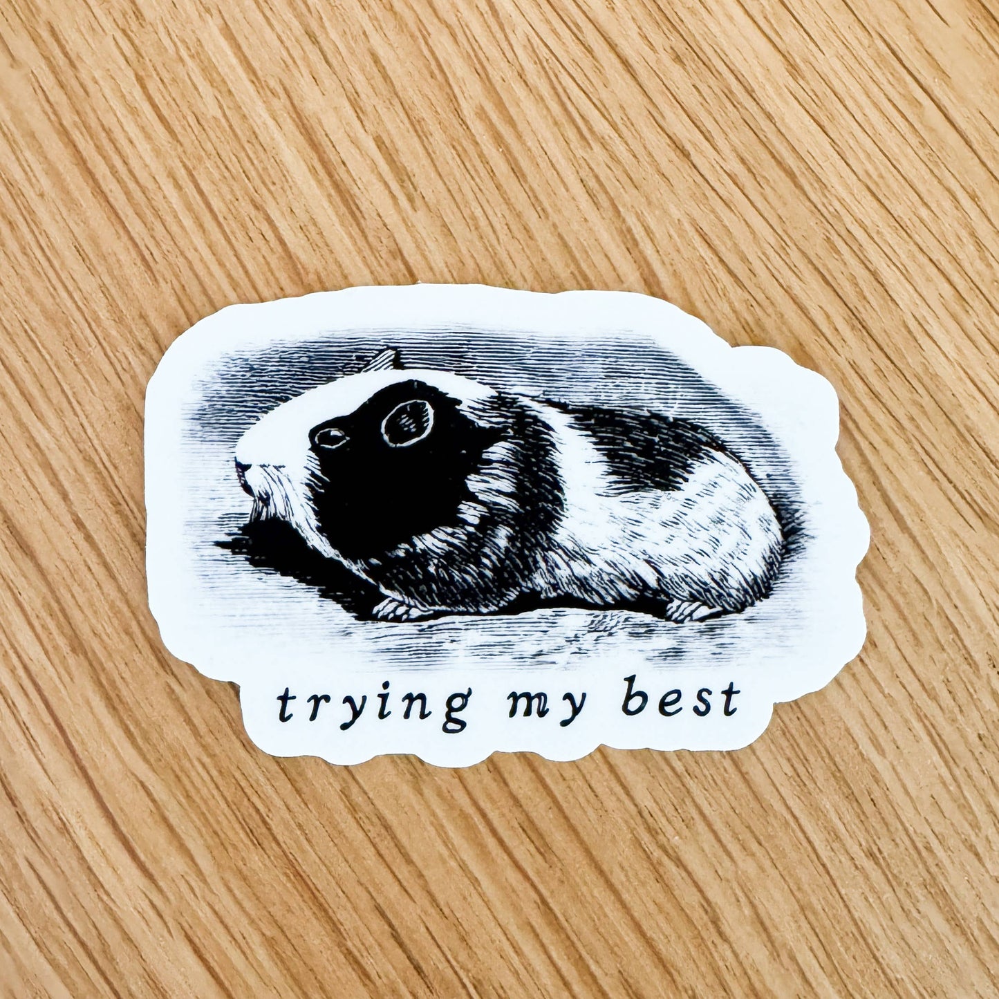 Trying My Best Guinea Pig Vinyl Sticker