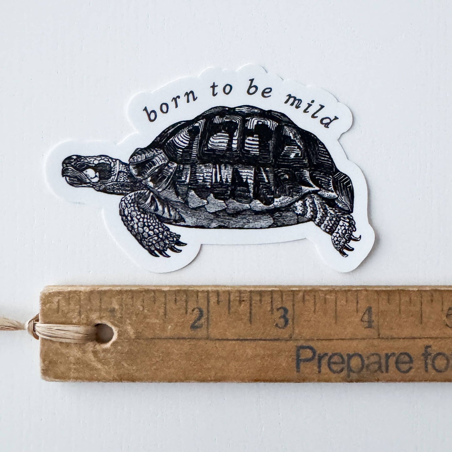 Born to be Mild Tortoise Vinyl Sticker