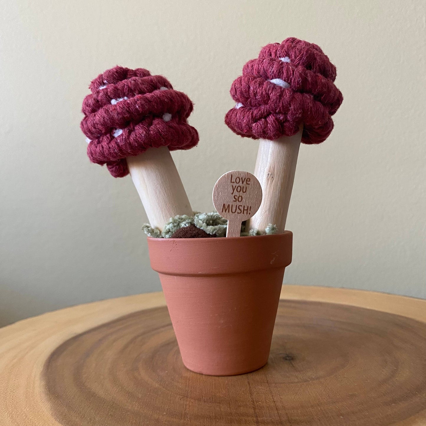 “Love you So Mush” Macrame Mushroom Arrangement
