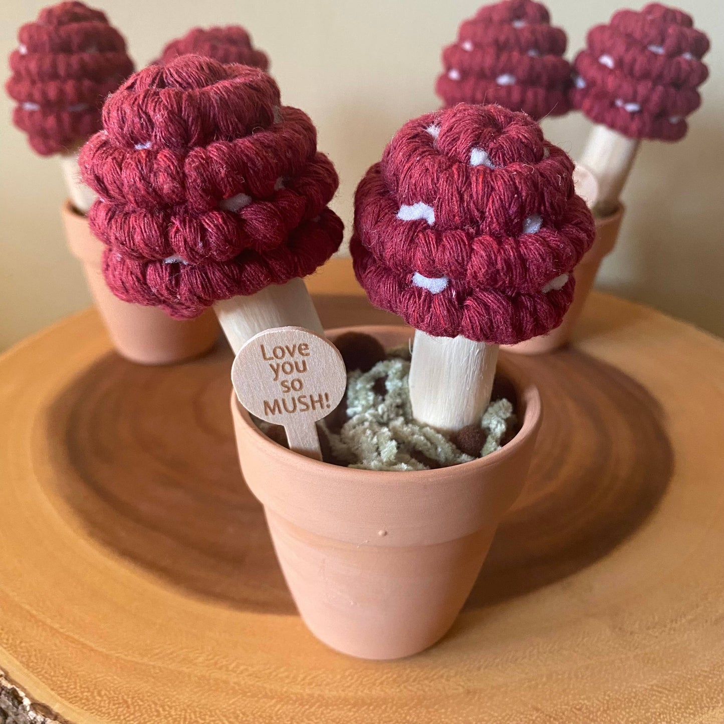 “Love you So Mush” Macrame Mushroom Arrangement