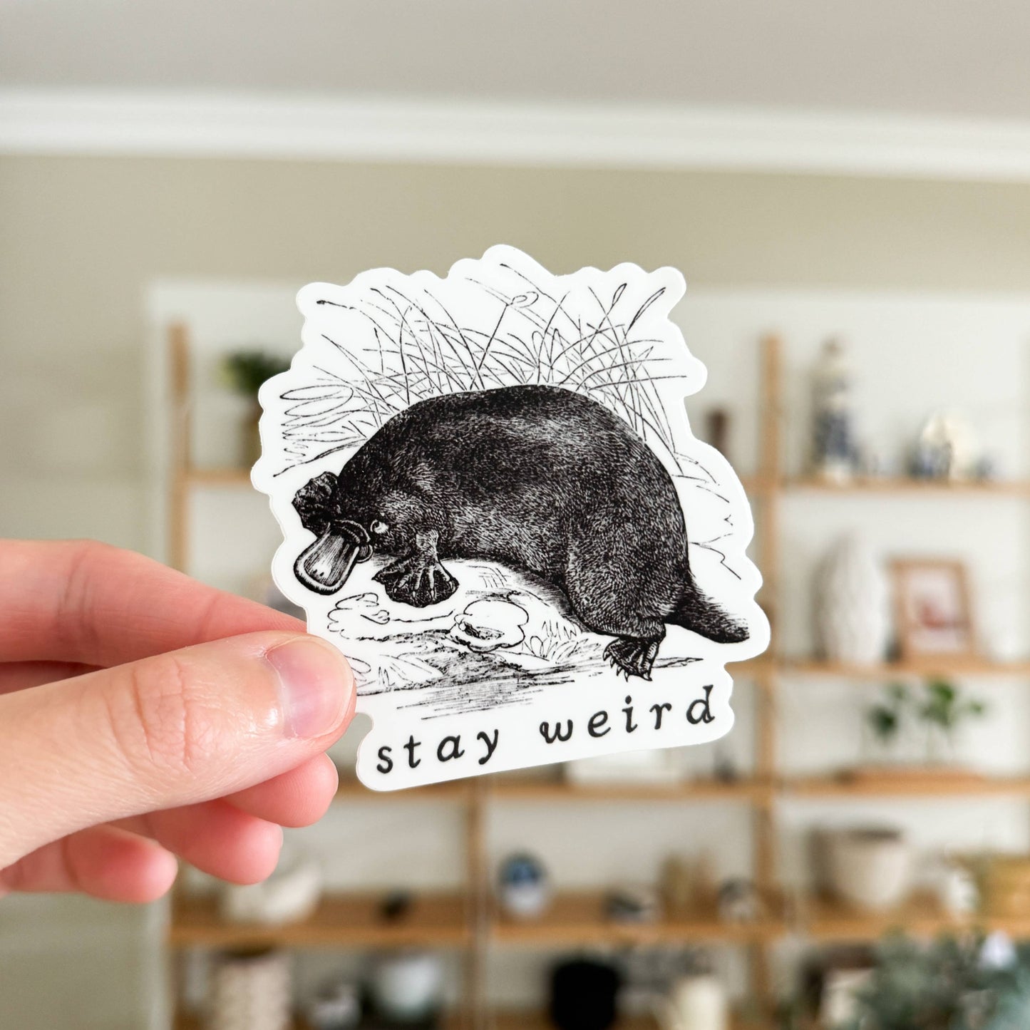 Stay Weird Vinyl Platypus Sticker