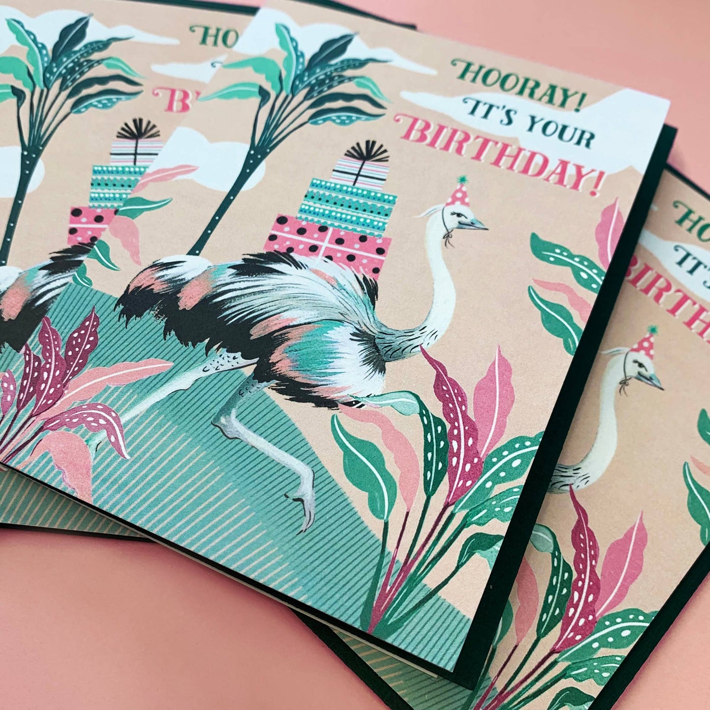 Ostrich Card | Stationery | Birthday Greeting Card