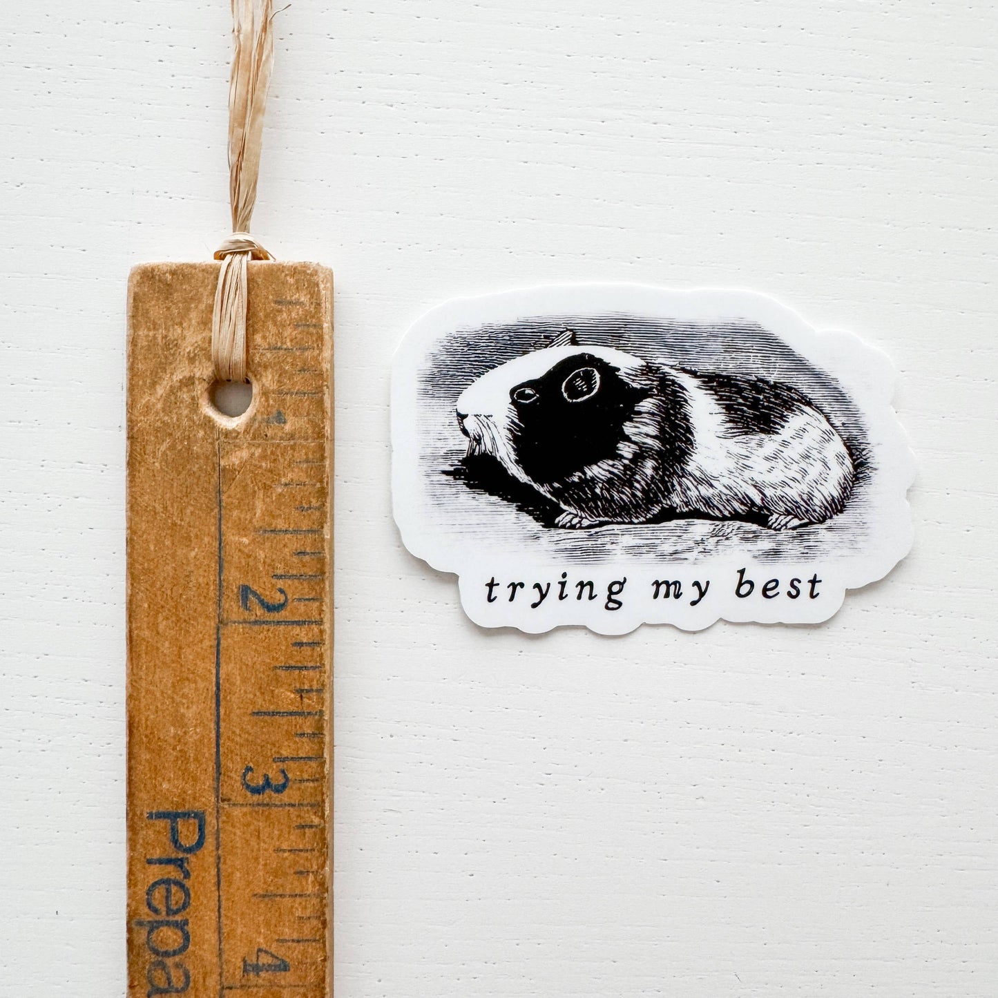 Trying My Best Guinea Pig Vinyl Sticker