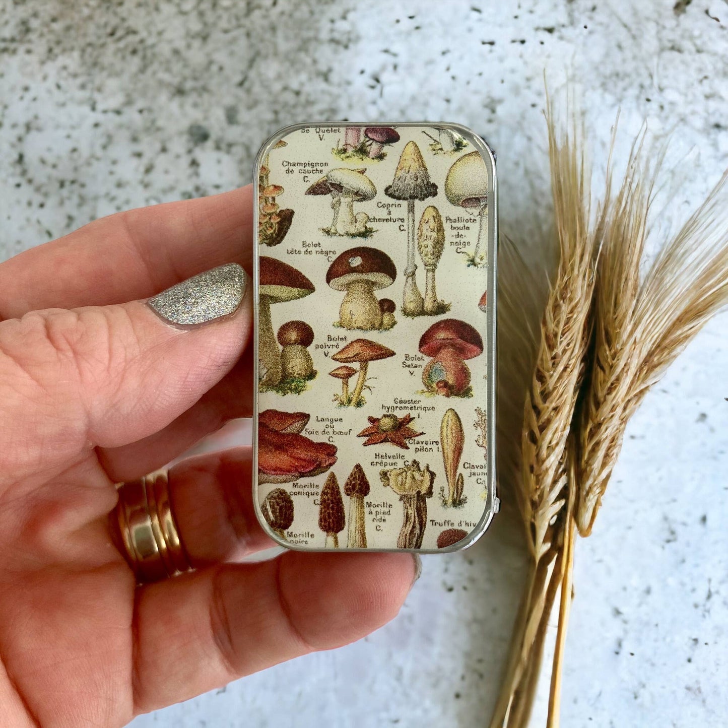 Large Mushroom Storage Tin