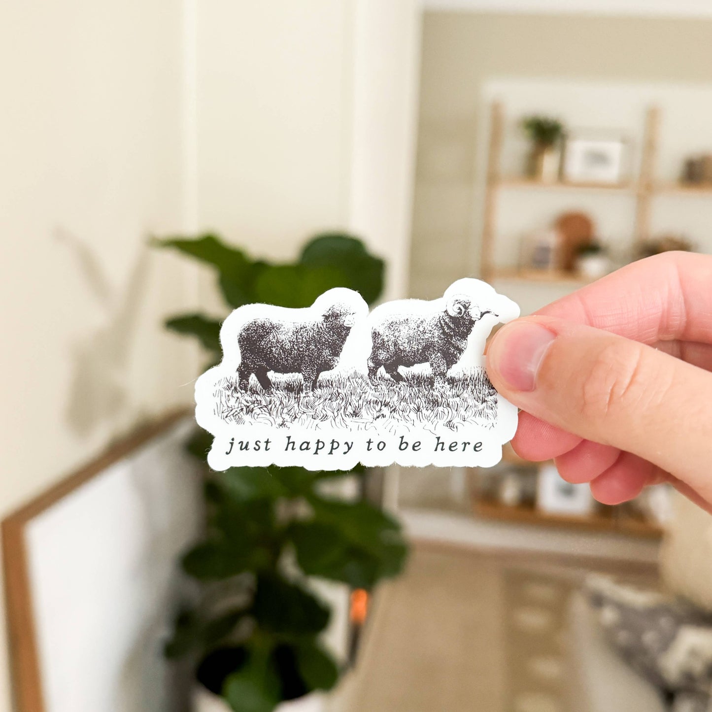Happy to be Here Sheep Vinyl Sticker