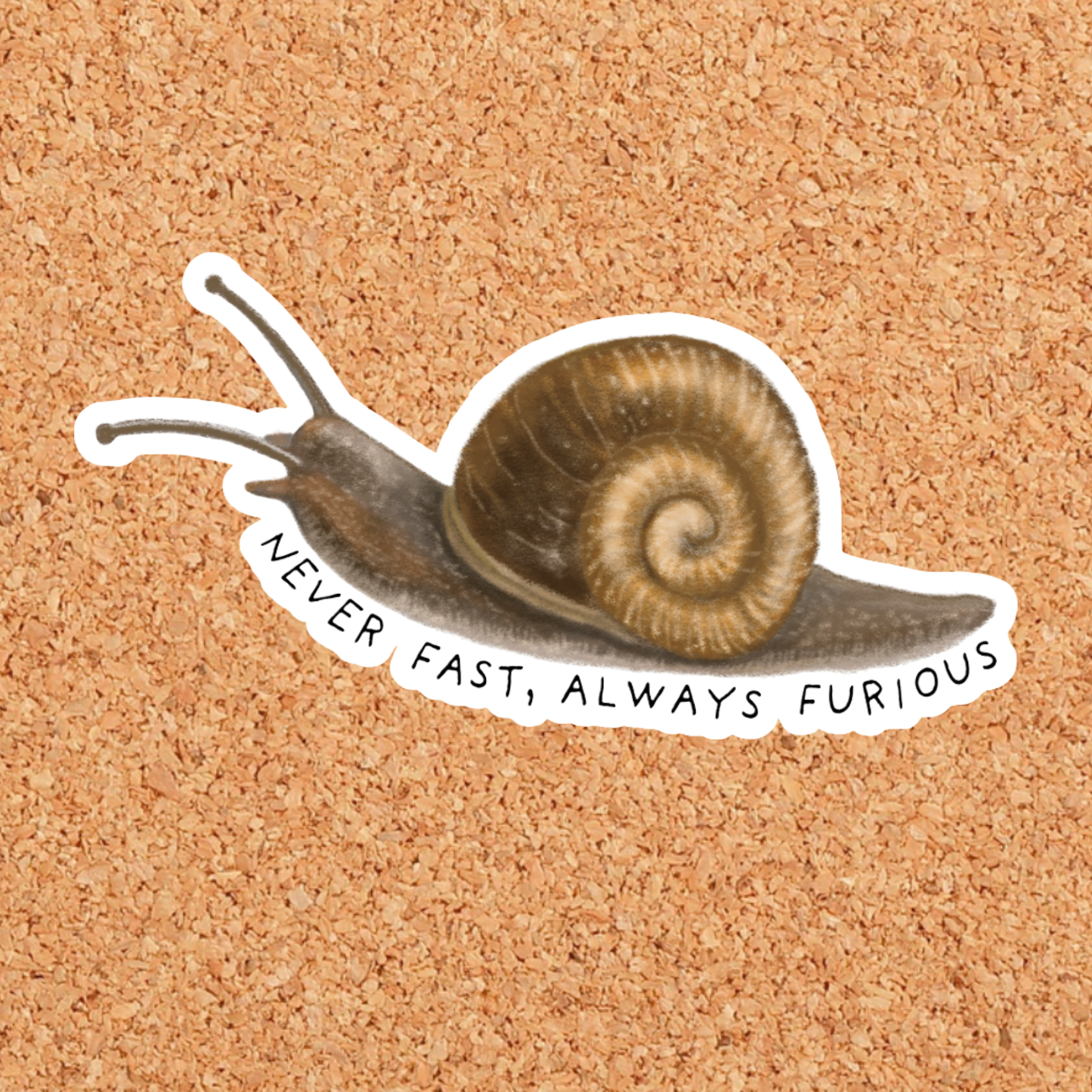 Never Fast Always Furious Snail Vinyl Sticker