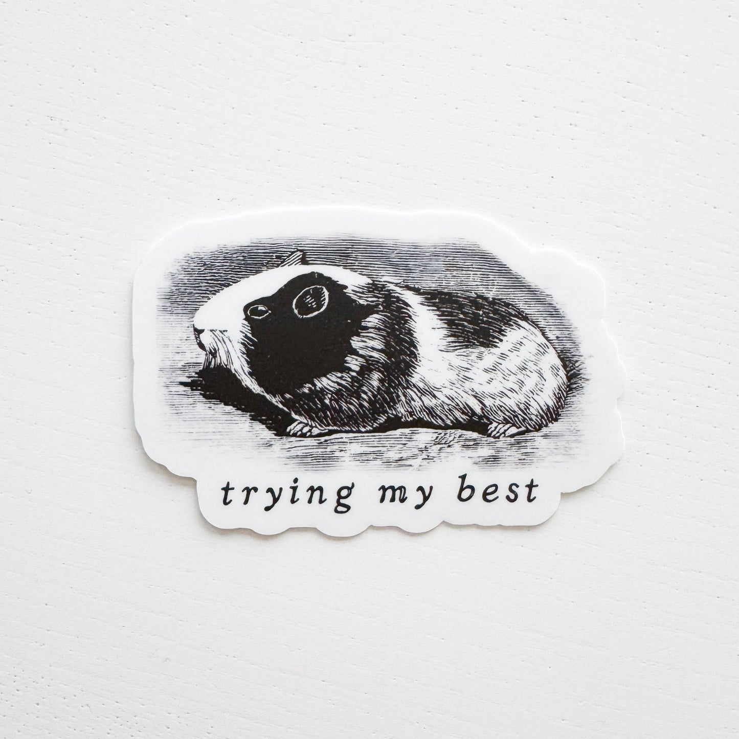Trying My Best Guinea Pig Vinyl Sticker