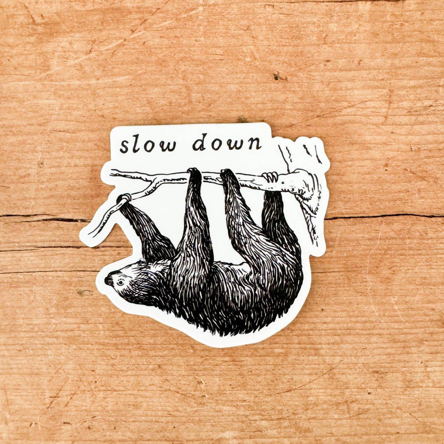 Slow Down Sloth Sticker