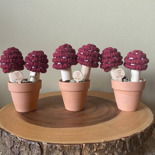“Love you So Mush” Macrame Mushroom Arrangement