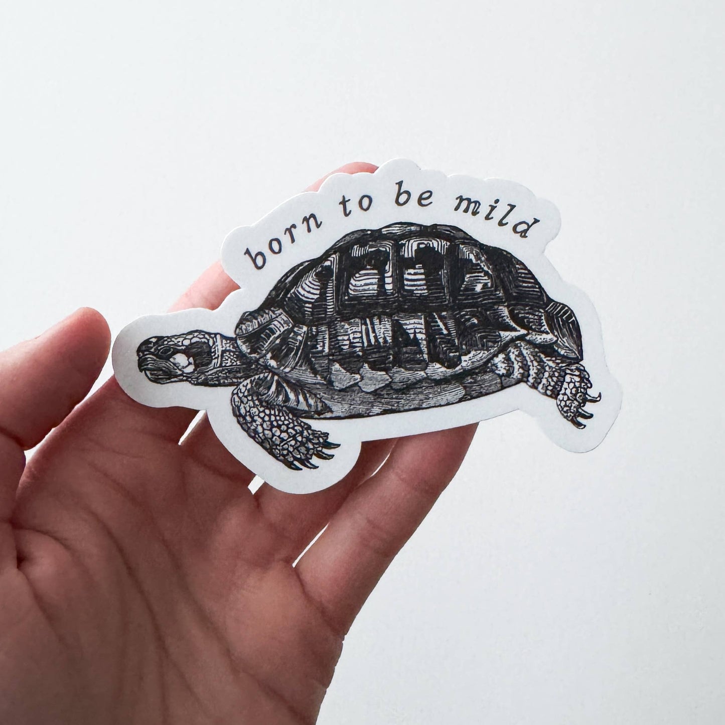 Born to be Mild Tortoise Vinyl Sticker