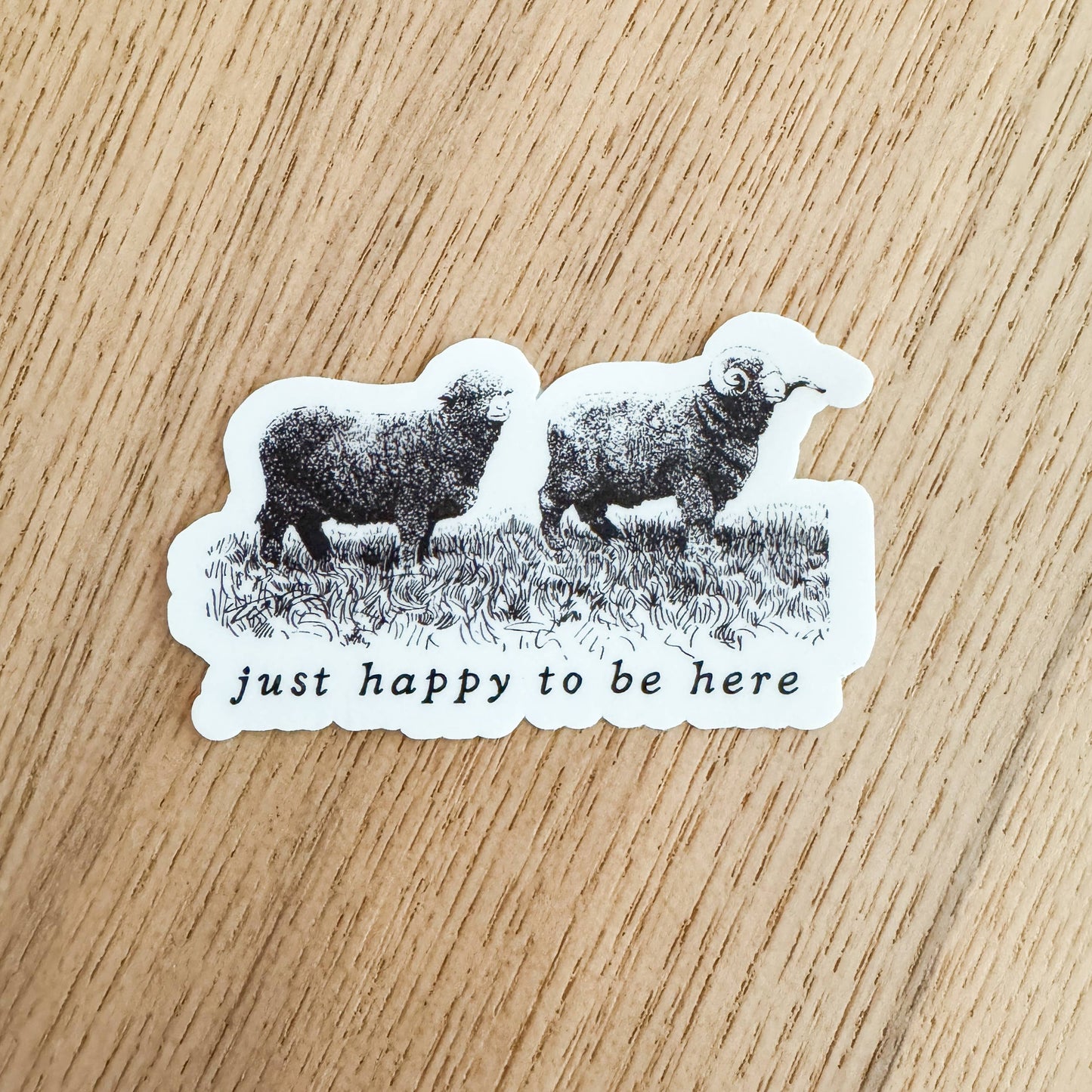 Happy to be Here Sheep Vinyl Sticker