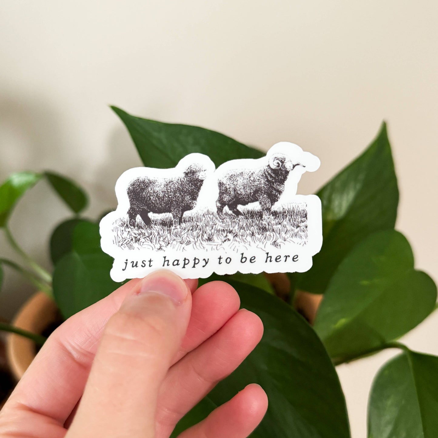 Happy to be Here Sheep Vinyl Sticker