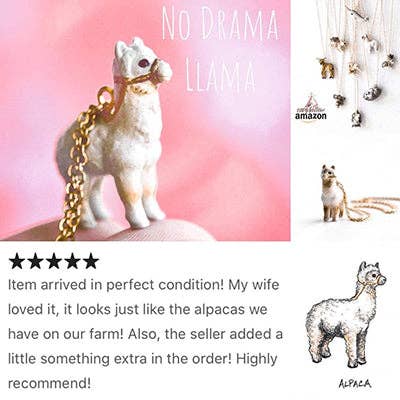 Camp Hollow Alpaca Necklace