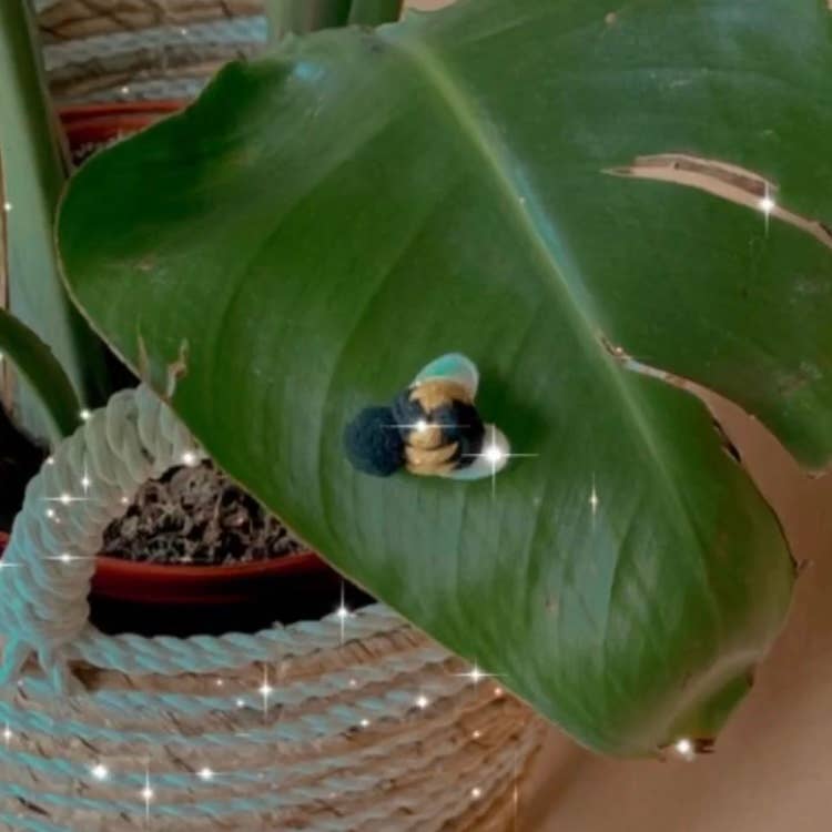Plant Charm/Magnet (Macrame Bee): White Wing Small