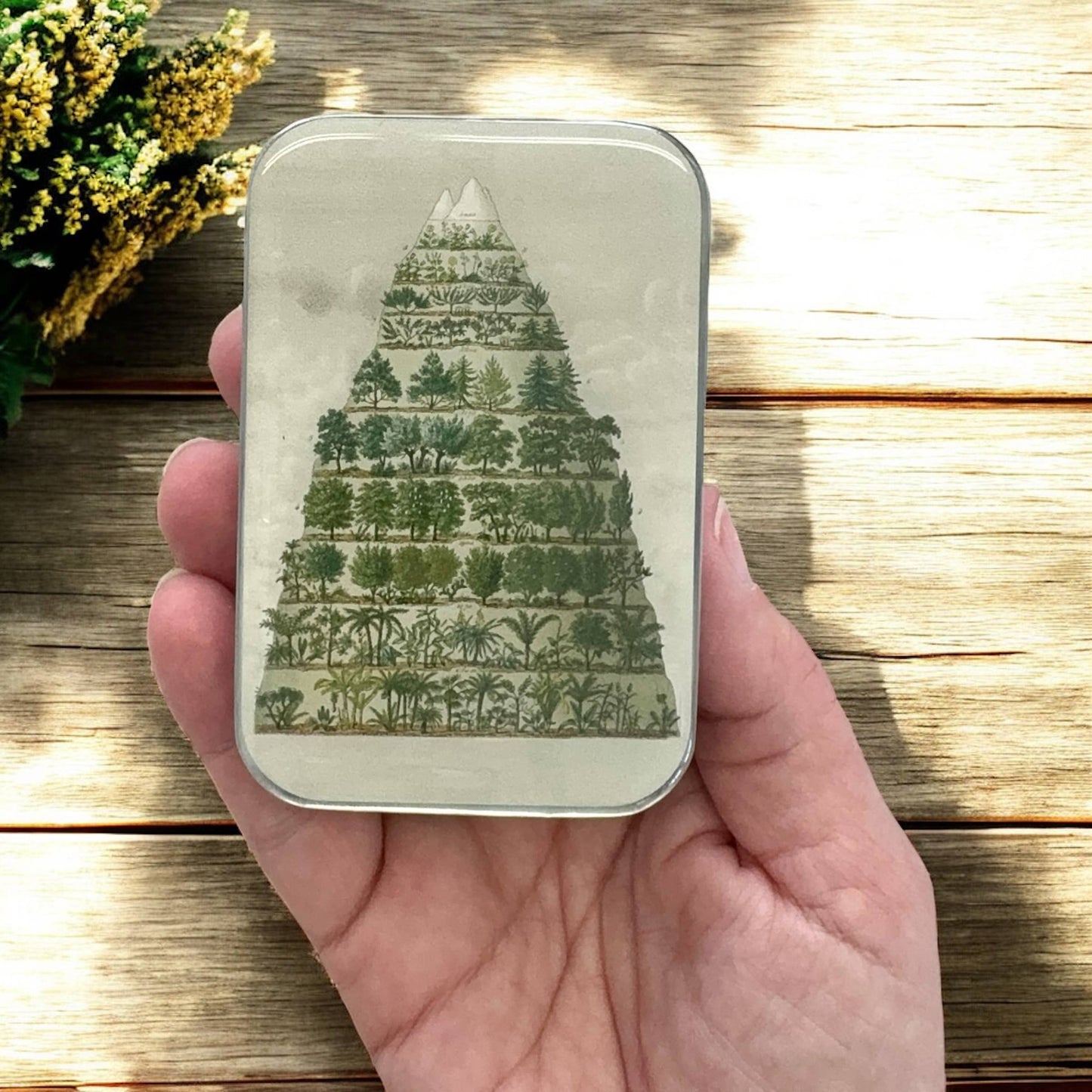 Nature Meets Nostalgia – Large Tin