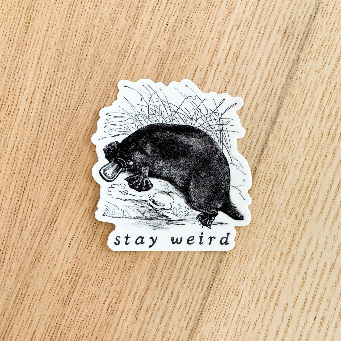 Stay Weird Vinyl Platypus Sticker
