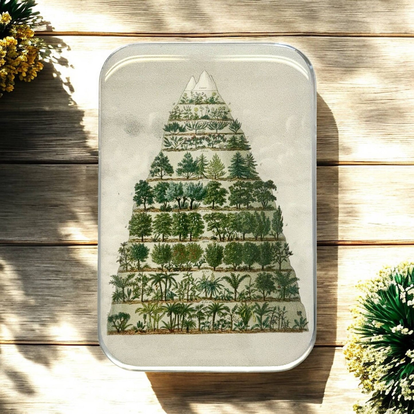 Nature Meets Nostalgia – Large Tin