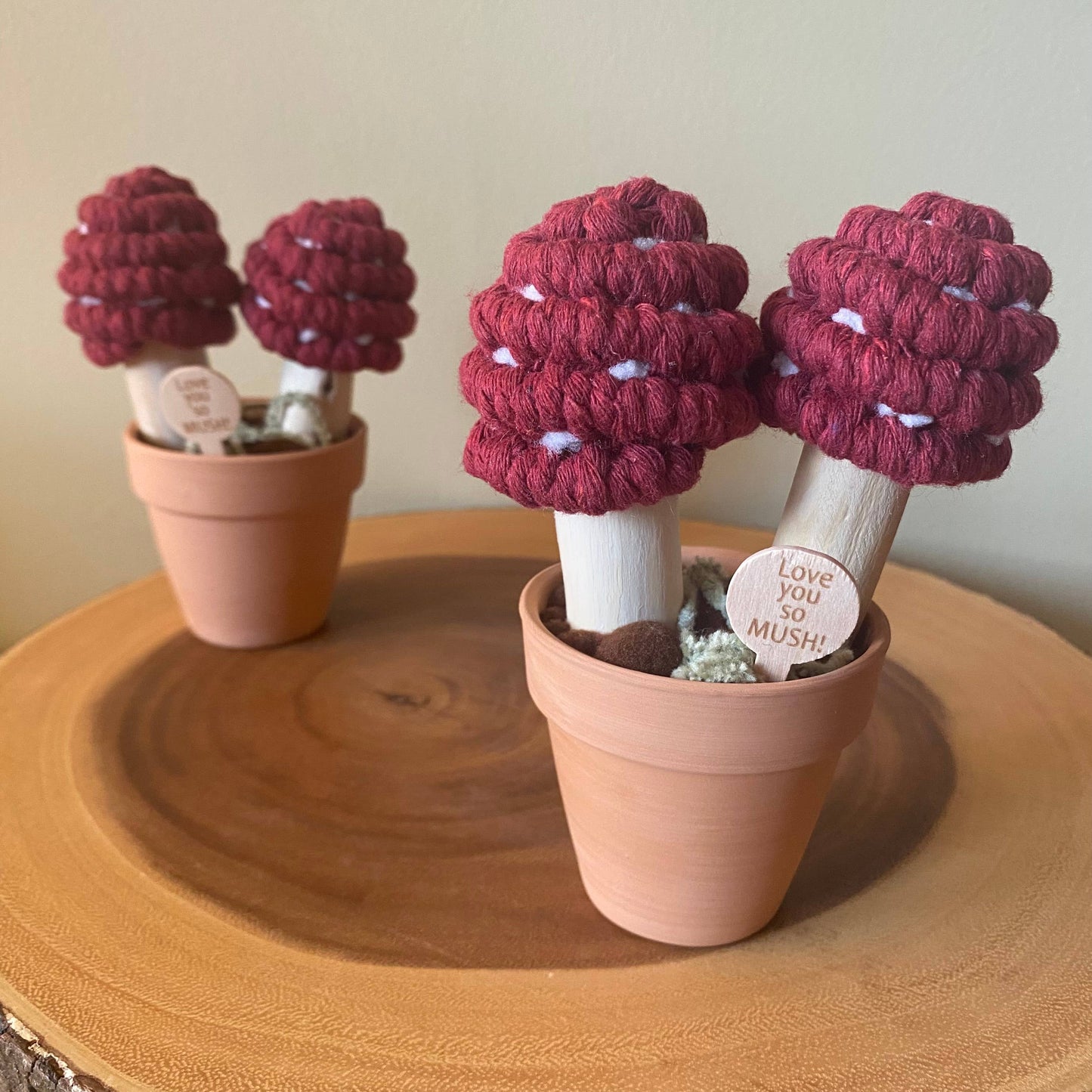 “Love you So Mush” Macrame Mushroom Arrangement