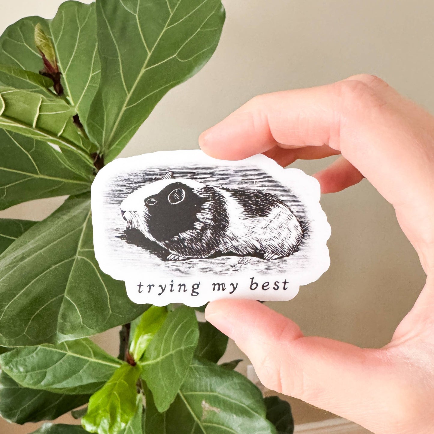 Trying My Best Guinea Pig Vinyl Sticker