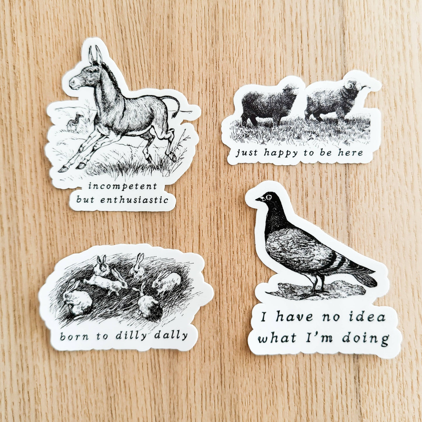 Pigeon No Idea What I'm Doing Vinyl Sticker