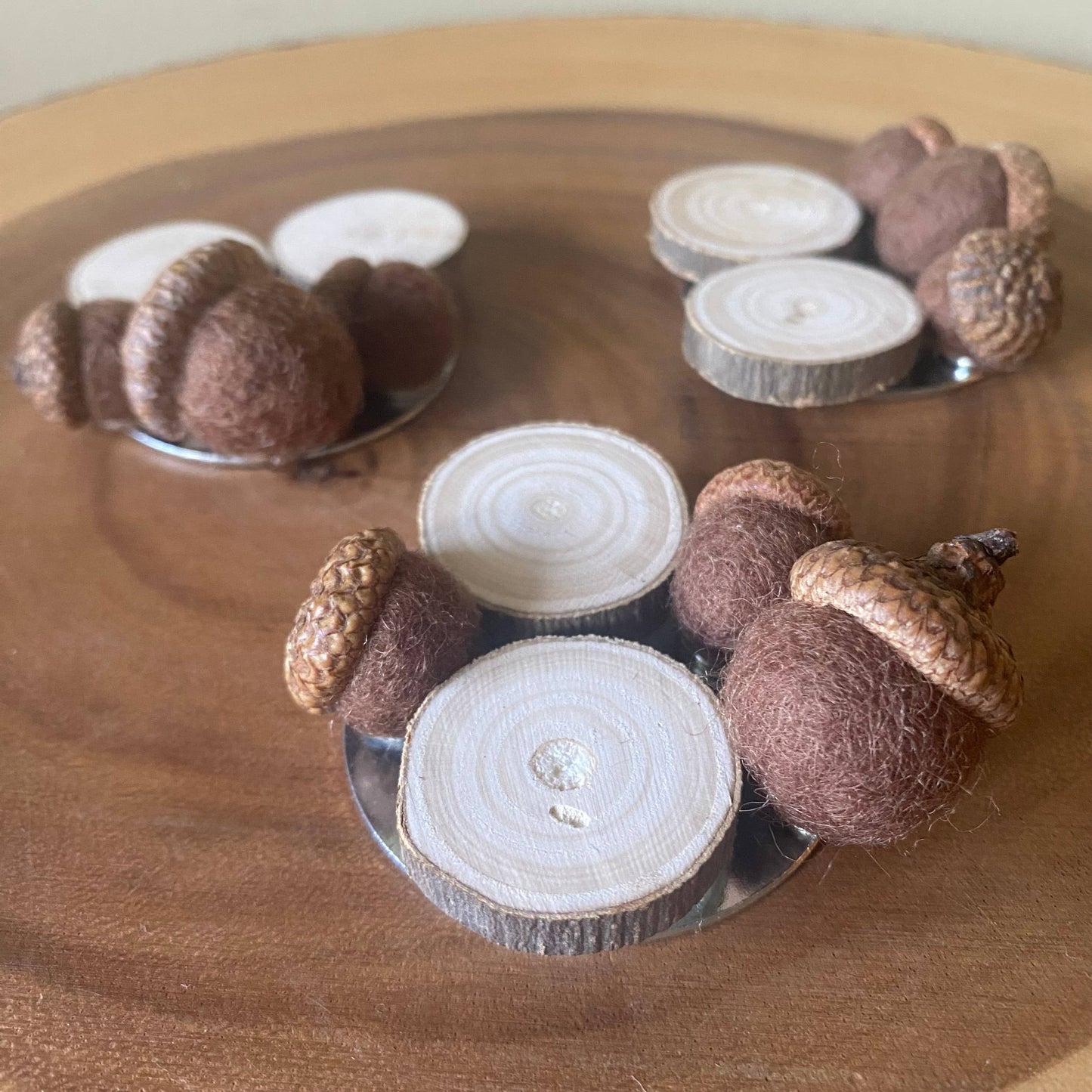 Fall Magnets/ Handmade Acorn & Wood Slices