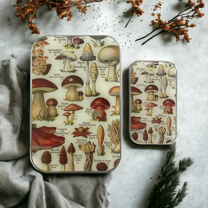 Large Mushroom Storage Tin