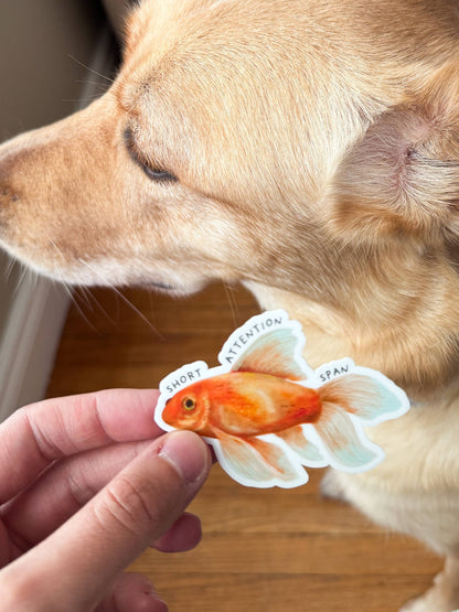 Short Attention Span Goldfish Vinyl Sticker: With Backer Card