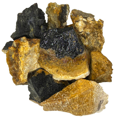 Rough Palm Root - Indonesia - Raw Natural Stones (1 lb)