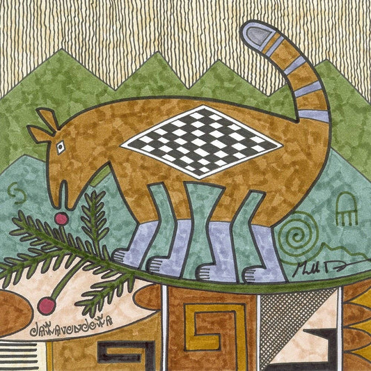 Coati