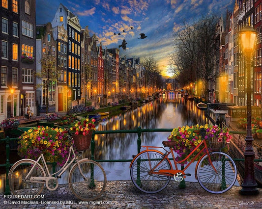 Figured'Art Paint By Number  Rolled Kit -Amsterdam channel