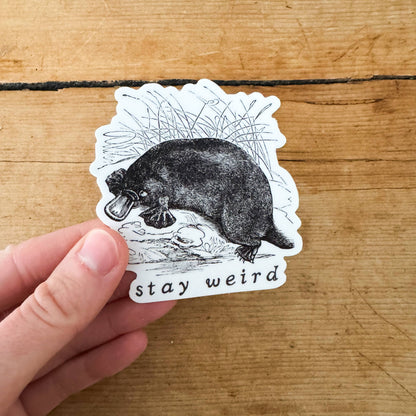 Stay Weird Vinyl Platypus Sticker
