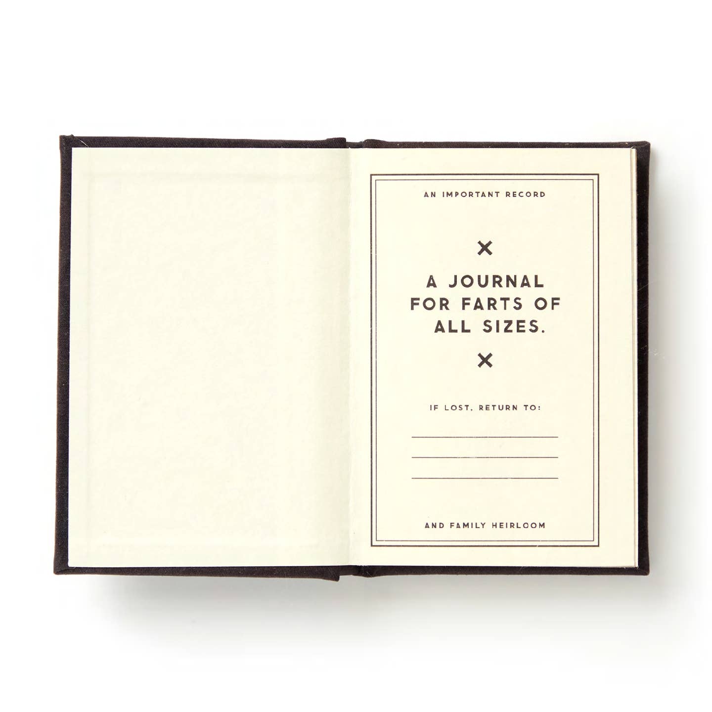 A Tiny Fart Diary