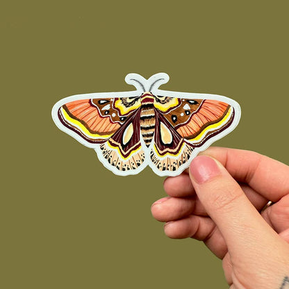 Moth Vinyl Sticker - Wildlife Sticker - Nature Sticker