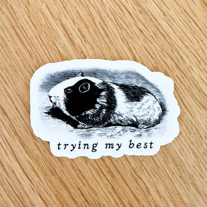 Trying My Best Guinea Pig Vinyl Sticker