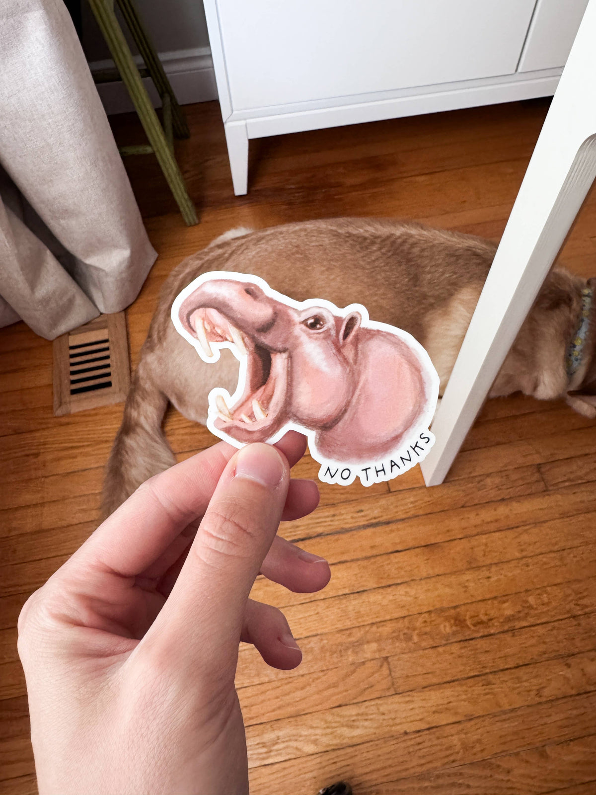 No Thanks Hippo Vinyl Sticker: With Backer Card