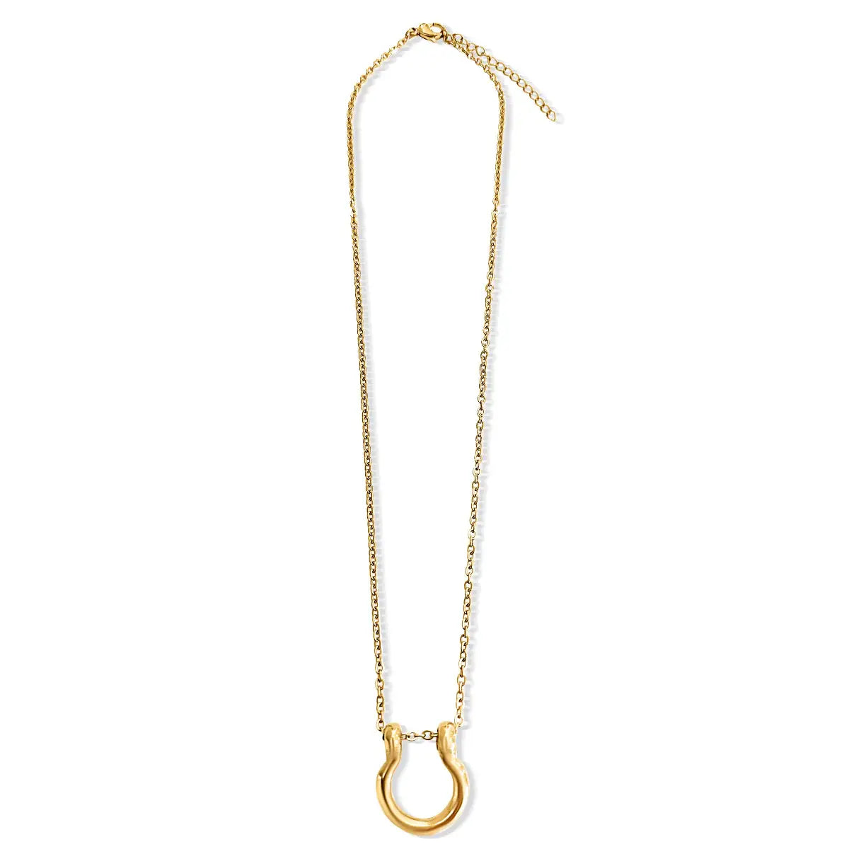 Horse Bit Horse Shoe Steel Stirup Chain Necklace: Two tone