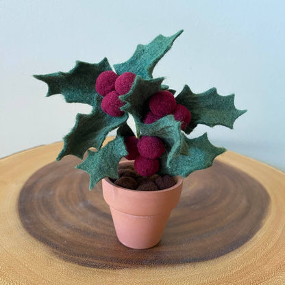 Holly Felt Forever Plant (December Birth Month Flower)