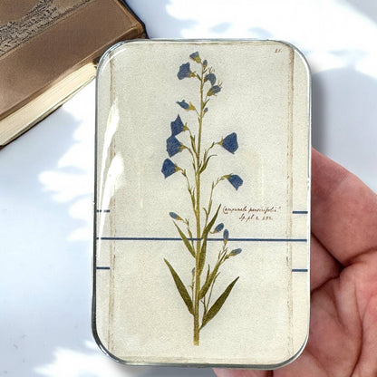 Bellflower Notions Tin: Large