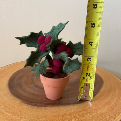 Holly Felt Forever Plant (December Birth Month Flower)