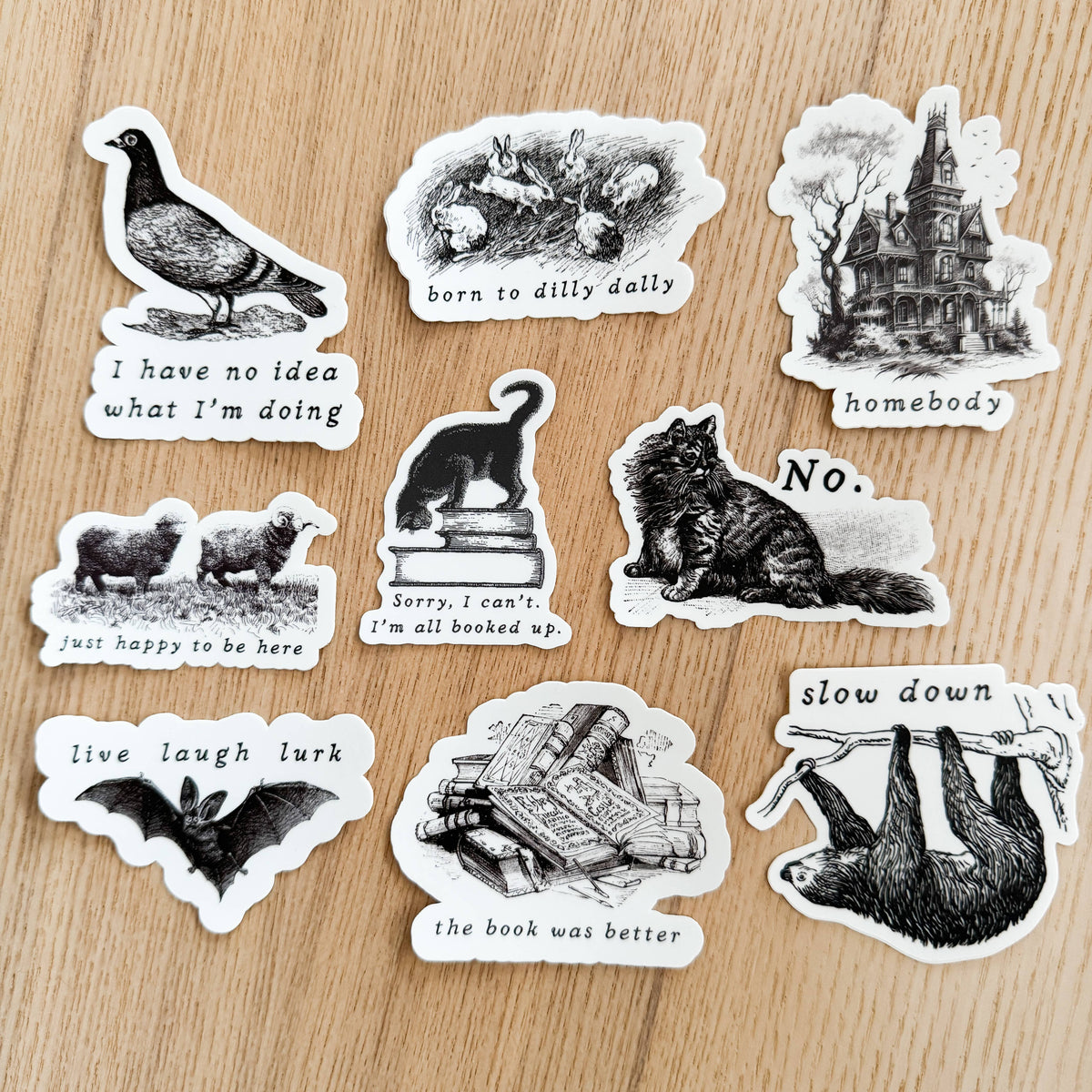 No Cat Sticker No Cat Vinyl Sticker – Two Macaws