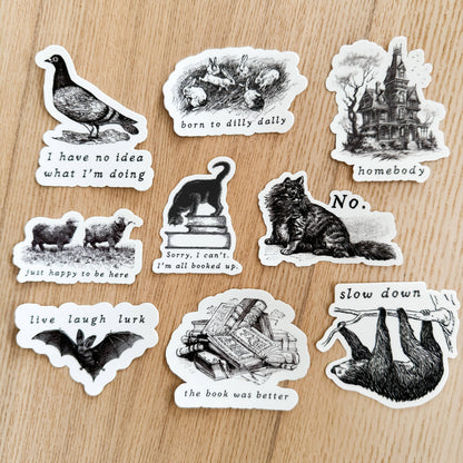 No Cat Vinyl Sticker