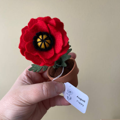 Poppy Felt Forever Flower (August Birth Month Flower): Red