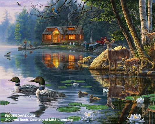 Figured'Art Paint By Number  Rolled Kit -Chalet Life